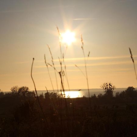 Agroturystyka Pod Kogutkiem Czysta Esterno foto