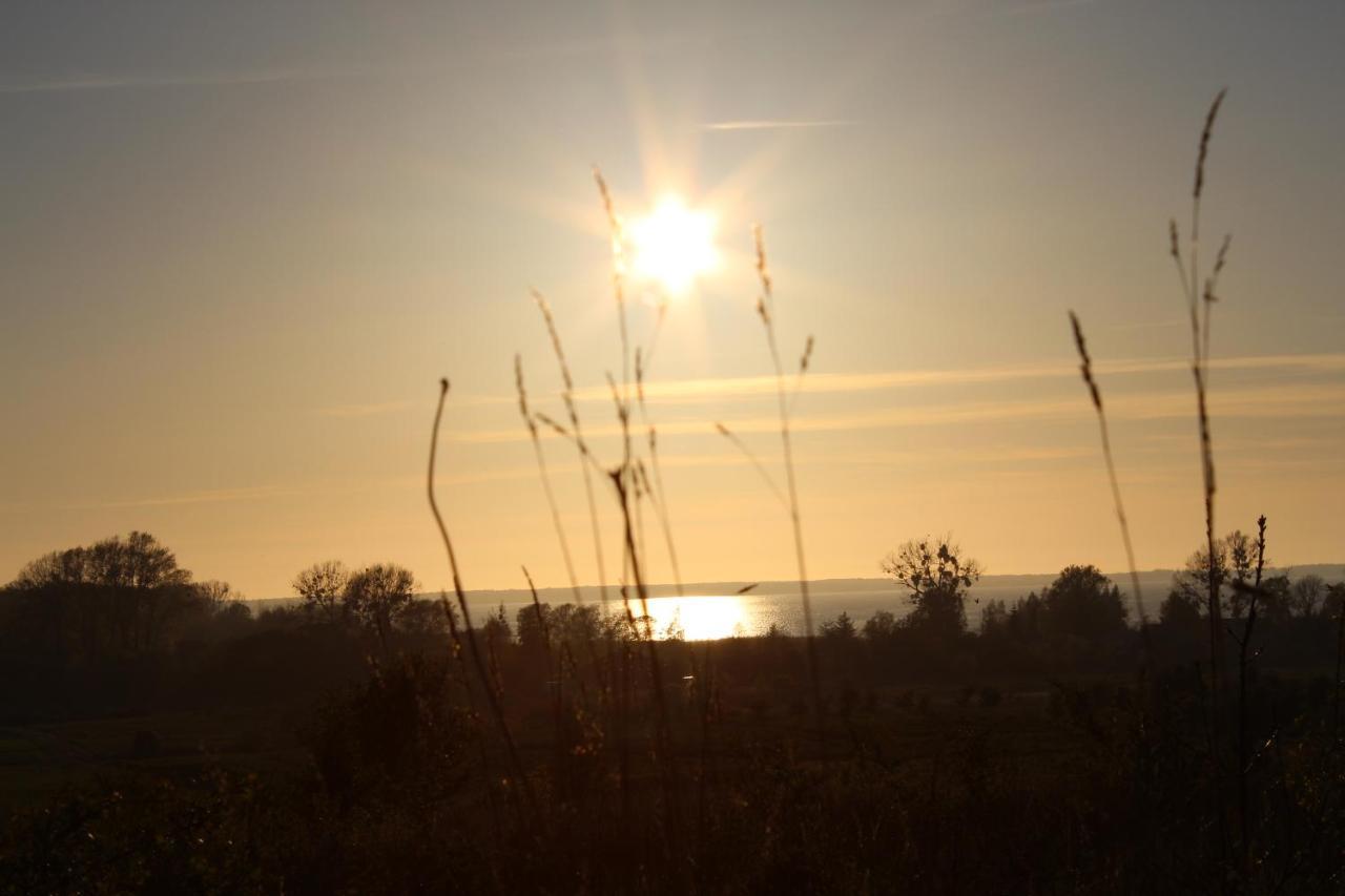 Agroturystyka Pod Kogutkiem Czysta Esterno foto